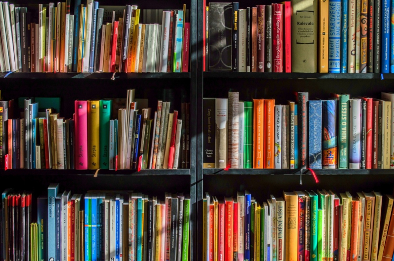 ecommerce-BARGEMON-min_books_bookstore_book_reading_shop_writer_sale_books_read-822866
